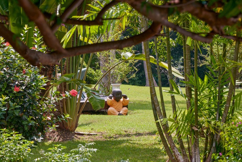 Daiquiri FINAL NERON 29.jpg